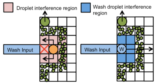 wash_droplet_input_deadlock